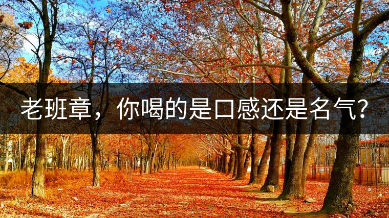 老班章，你喝的是口感還是名氣？