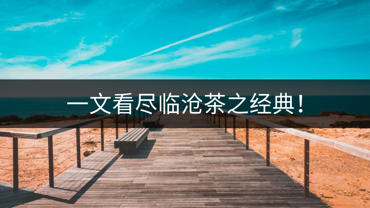 一文看盡臨滄茶之經典！