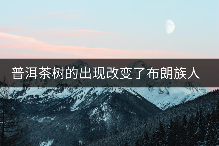 普洱茶樹的出現(xiàn)改變了布朗族人的歷史走向 普洱茶樹的出現(xiàn)改變了布朗族人的歷史走向