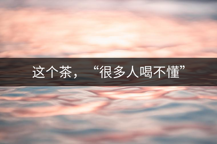 這個茶，“很多人喝不懂”