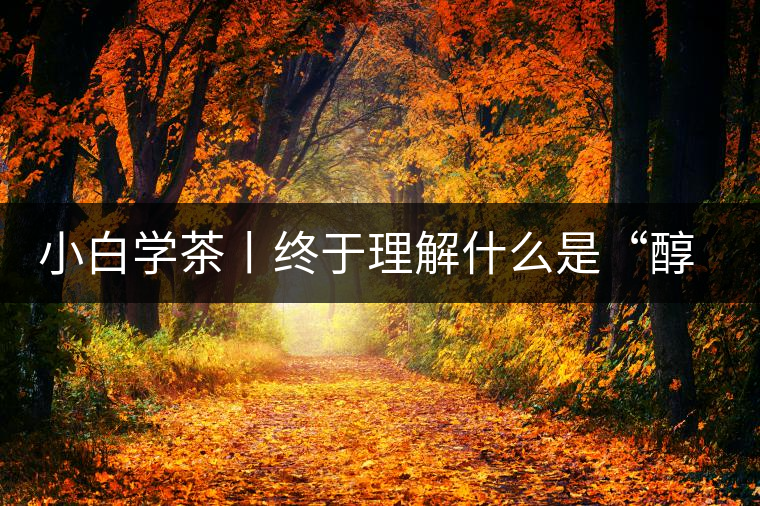 小白學(xué)茶丨終于理解什么是“醇厚、耐泡，回甘”了