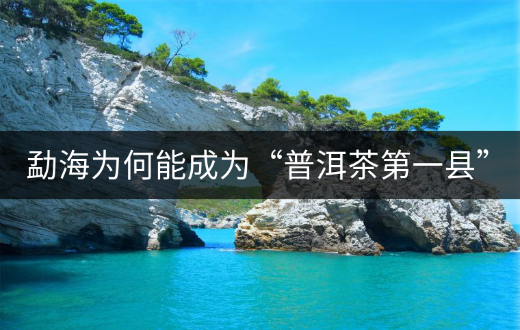 勐海為何能成為“普洱茶第一縣”？