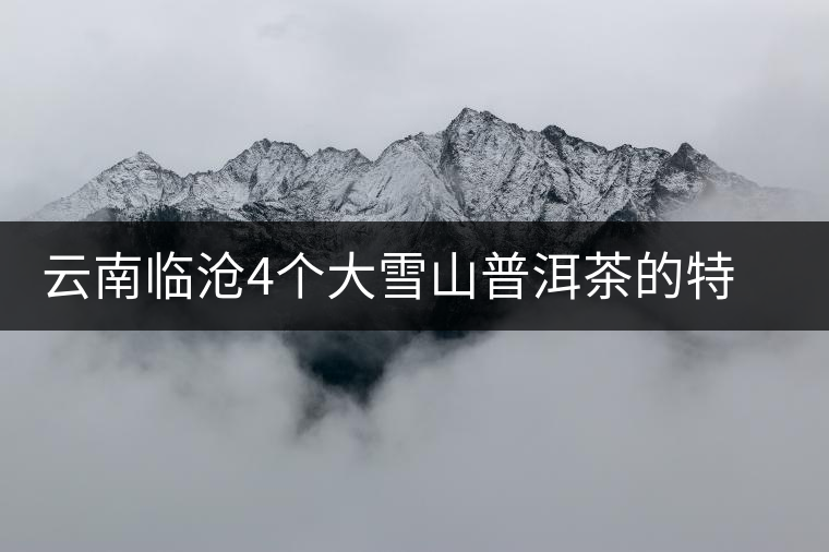 云南臨滄4個大雪山普洱茶的特點和區(qū)別，這下全搞清了