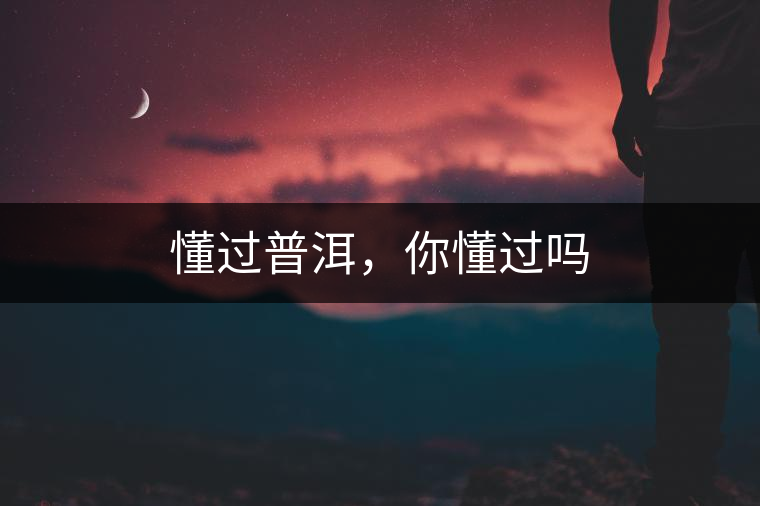 懂過(guò)普洱，你懂過(guò)嗎
