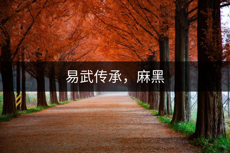 易武傳承，麻黑