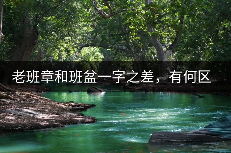 老班章和班盆一字之差，有何區(qū)別