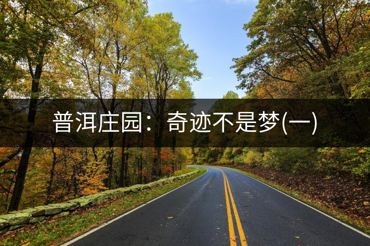 普洱莊園：奇跡不是夢(一)