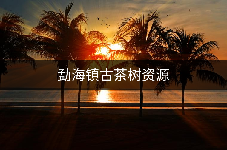 勐海鎮(zhèn)古茶樹資源 勐海鎮(zhèn)古茶樹資源