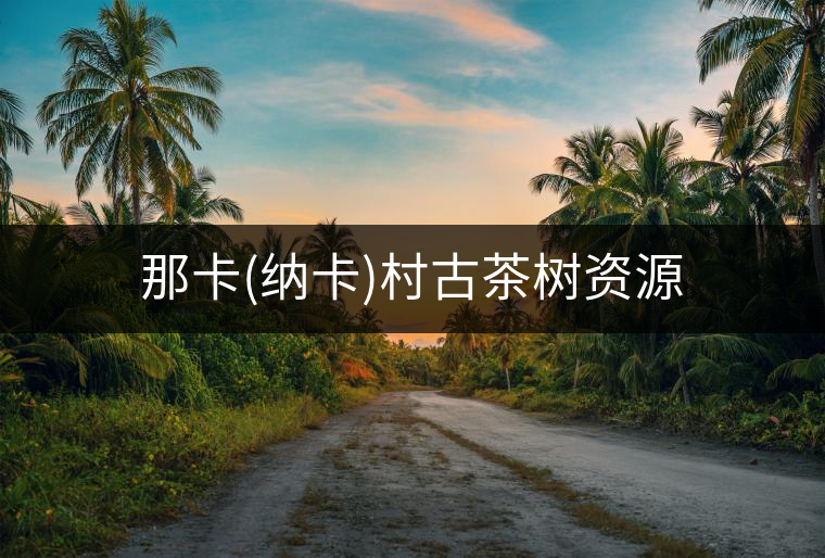 那卡(納卡)村古茶樹資源 那卡(納卡)村古茶樹資源