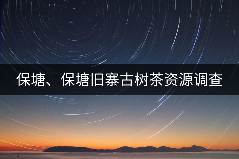 保塘、保塘舊寨古樹茶資源調查