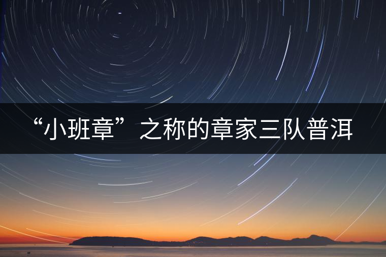 “小班章”之稱(chēng)的章家三隊(duì)普洱茶 “小班章”之稱(chēng)的章家三隊(duì)普洱茶