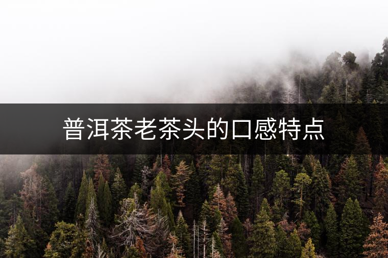 普洱茶老茶頭的口感特點 普洱茶老茶頭的口感特點