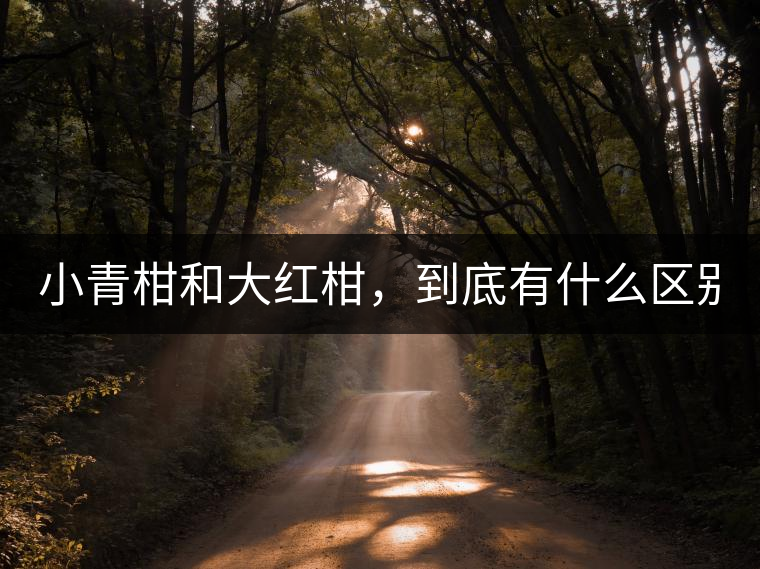 小青柑和大紅柑，到底有什么區(qū)別？
