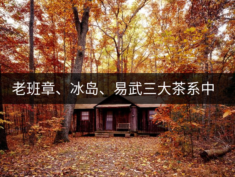 老班章、冰島、易武三大茶系中，“潛力股”為何是易武？