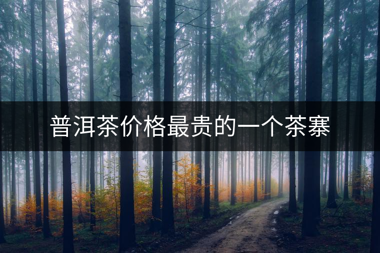 普洱茶價格最貴的一個茶寨 普洱茶價格最貴的一個茶寨