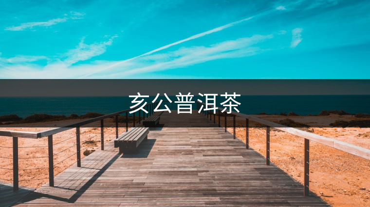 亥公普洱茶 亥公普洱茶