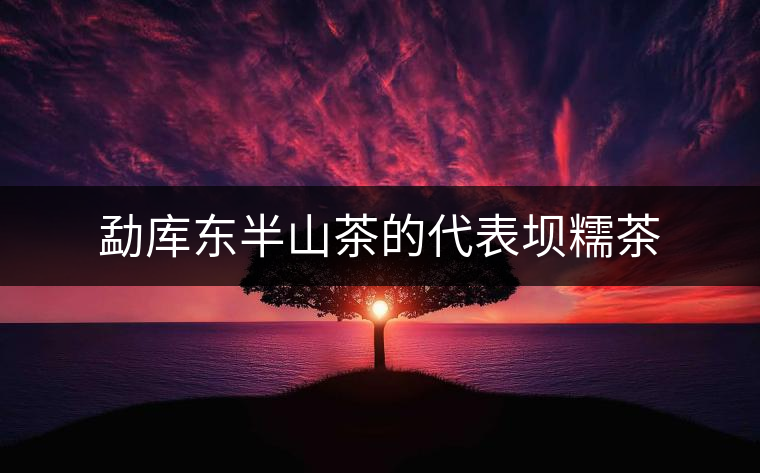 勐庫(kù)東半山茶的代表壩糯茶 勐庫(kù)東半山茶的代表壩糯茶
