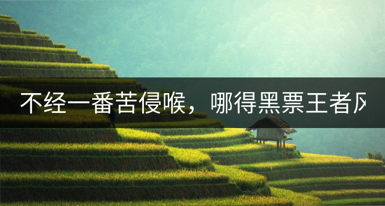 不經(jīng)一番苦侵喉，哪得黑票王者風(fēng)！