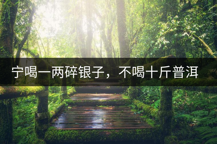 寧喝一兩碎銀子，不喝十斤普洱茶