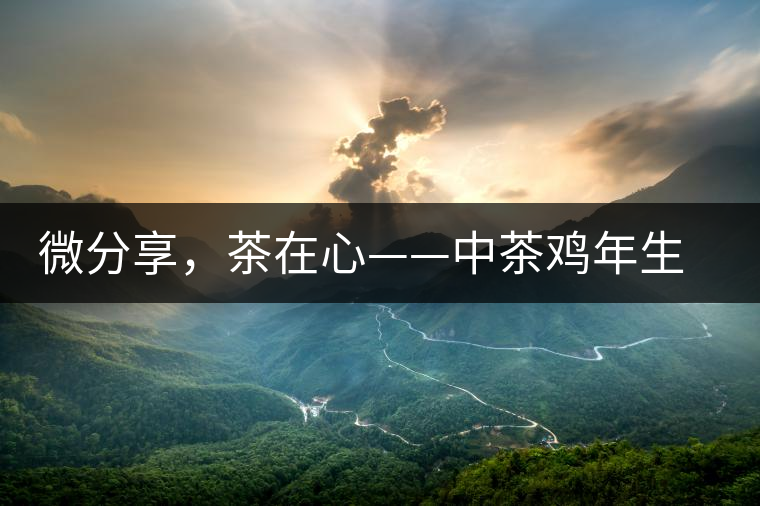 微分享，茶在心——中茶雞年生肖餅