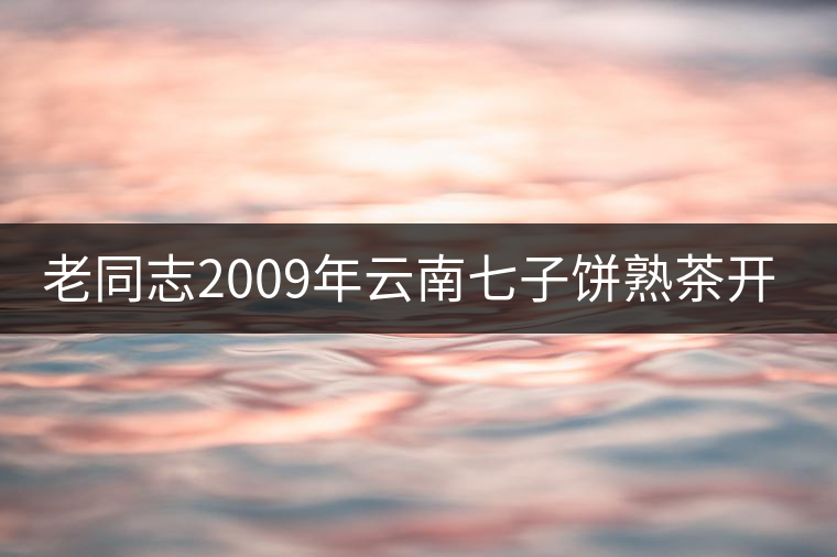 老同志2009年云南七子餅熟茶開湯 老同志2009年云南七子餅熟茶開湯