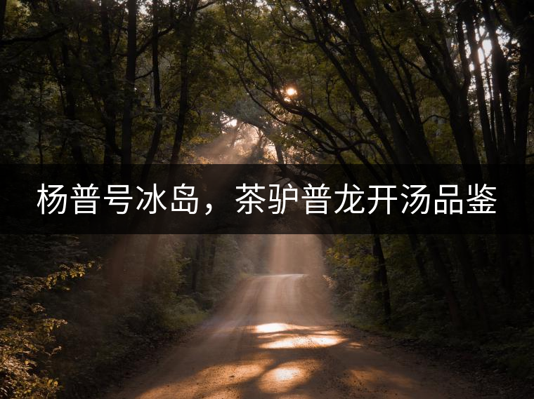 楊普號冰島，茶驢普龍開湯品鑒