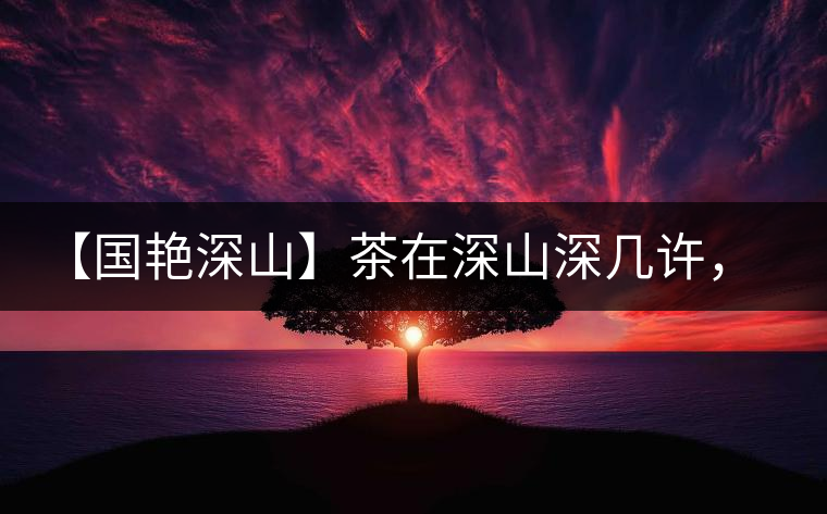 【國艷深山】茶在深山深幾許，布朗味釅釅幾分！