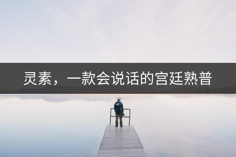 靈素，一款會(huì)說(shuō)話的宮廷熟普