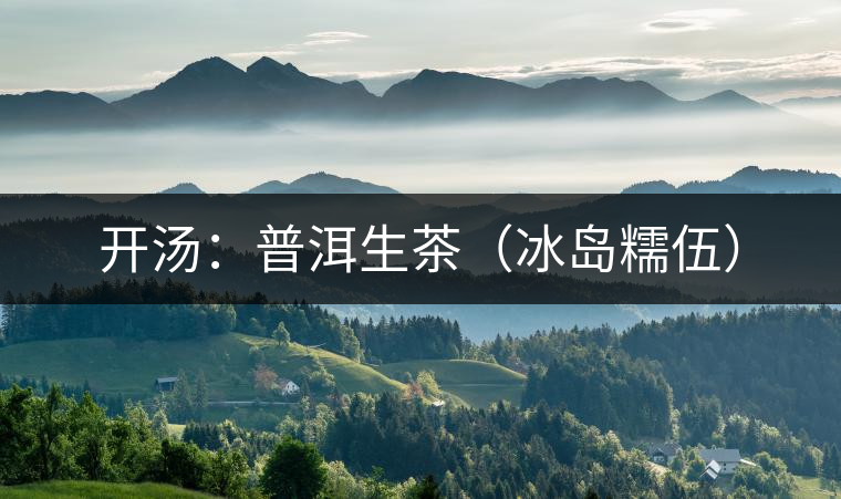 開(kāi)湯:普洱生茶(冰島糯伍) 開(kāi)湯:普洱生茶(冰島糯伍)