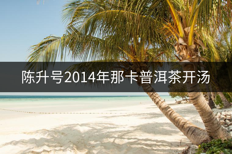陳升號2014年那卡普洱茶開湯 陳升號2014年那卡普洱茶開湯