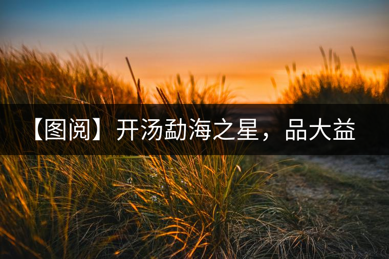 【圖閱】開湯勐海之星，品大益熟茶滋味