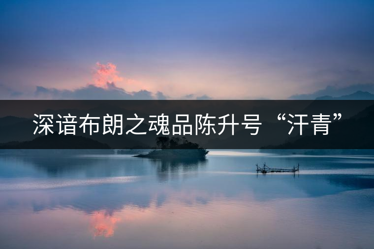深諳布朗之魂品陳升號(hào)“汗青” 深諳布朗之魂品陳升號(hào)“汗青”