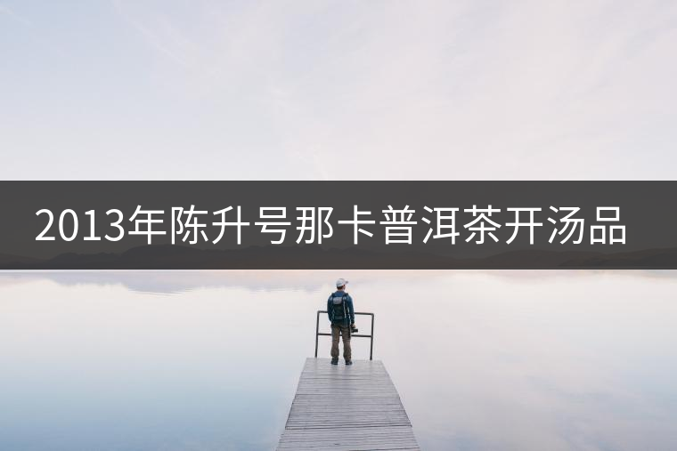 2013年陳升號那卡普洱茶開湯品鑒 2013年陳升號那卡普洱茶開湯品鑒