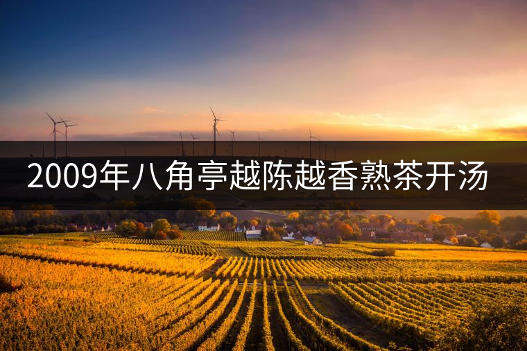 2009年八角亭越陳越香熟茶開湯品鑒 2009年八角亭越陳越香熟茶開湯品鑒