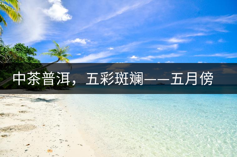 中茶普洱，五彩斑斕——五月傍晚，一道茶