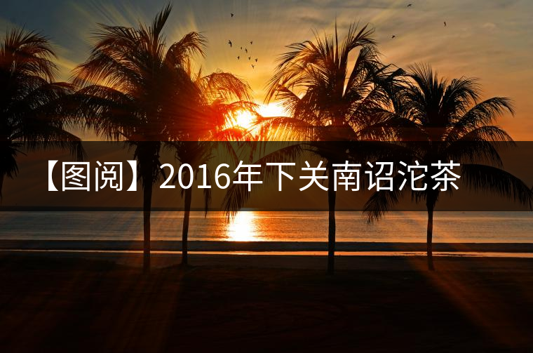 【圖閱】2016年下關(guān)南詔沱茶開湯 【圖閱】2016年下關(guān)南詔沱茶開湯