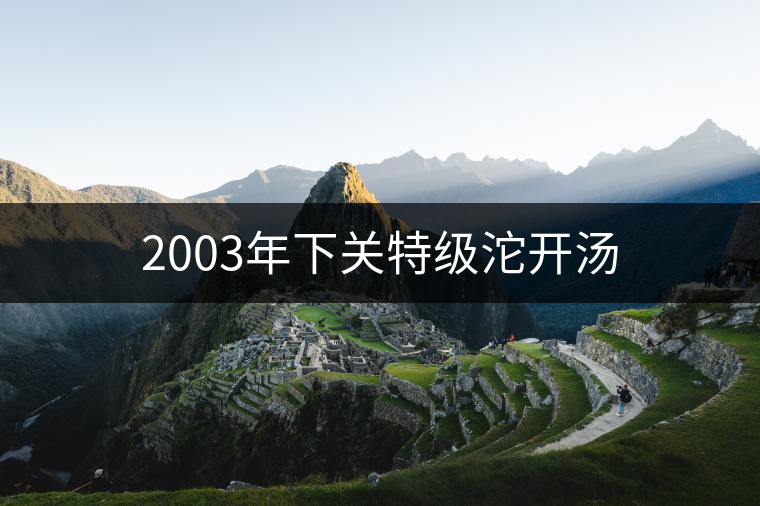 2003年下關特級沱開湯 2003年下關特級沱開湯