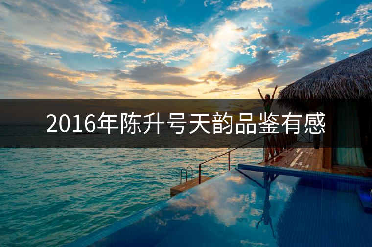 2016年陳升號天韻品鑒有感 2016年陳升號天韻品鑒有感
