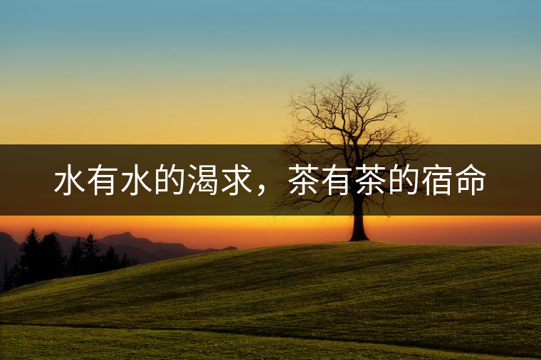 水有水的渴求，茶有茶的宿命