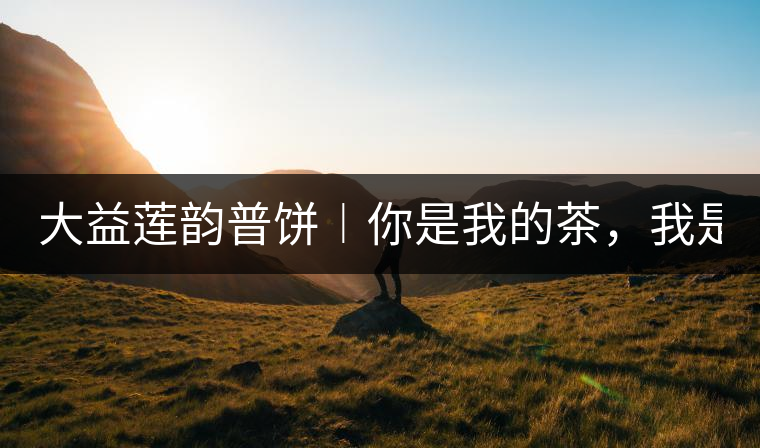 大益蓮韻普餅︱你是我的茶，我是你的人！