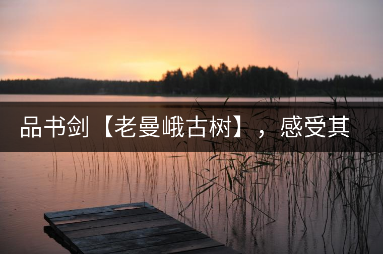 品書劍【老曼峨古樹】，感受其霸道苦韻