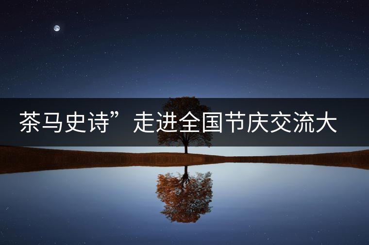 茶馬史詩(shī)”走進(jìn)全國(guó)節(jié)慶交流大會(huì)