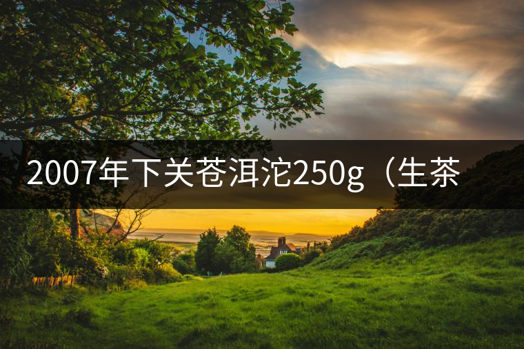 2007年下關(guān)蒼洱沱250g(生茶)品評 2007年下關(guān)蒼洱沱250g(生茶)品評