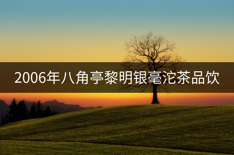 2006年八角亭黎明銀毫沱茶品飲 2006年八角亭黎明銀毫沱茶品飲