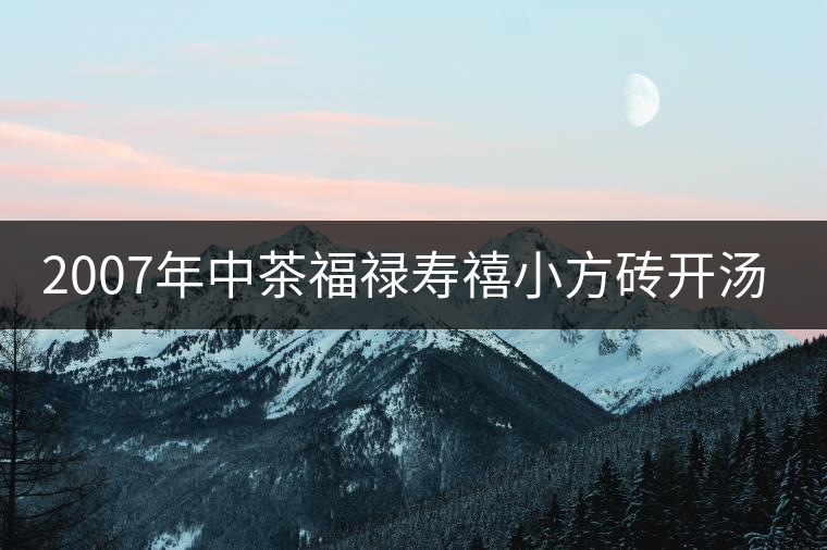 2007年中茶福祿壽禧小方磚開湯品鑒 2007年中茶福祿壽禧小方磚開湯品鑒