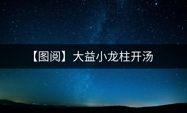 【圖閱】大益小龍柱開(kāi)湯