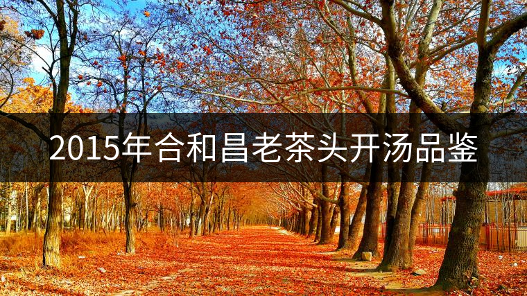 2015年合和昌老茶頭開(kāi)湯品鑒 2015年合和昌老茶頭開(kāi)湯品鑒