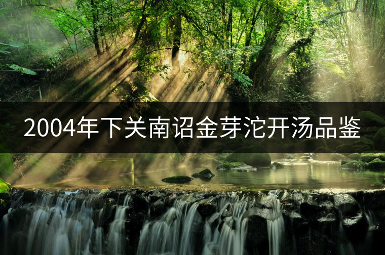 2004年下關(guān)南詔金芽沱開湯品鑒 2004年下關(guān)南詔金芽沱開湯品鑒