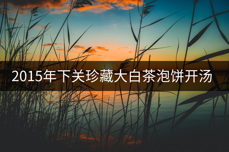 2015年下關珍藏大白茶泡餅開湯品鑒