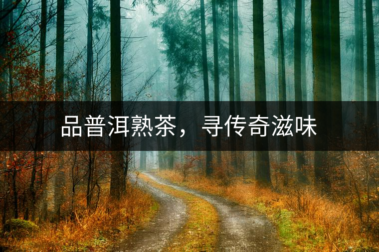 品普洱熟茶，尋傳奇滋味